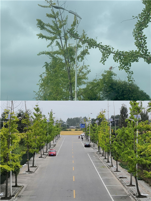 微信图片_2021102215110112_副本.jpg 微信图片_2021102215110112_副本.jpg