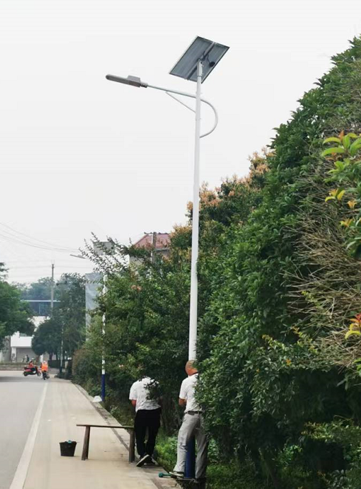 太阳能路灯为何逐渐取代传统路灯