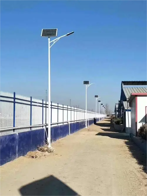 太阳能路灯成“零碳乡村”新标配，年省电费超万元